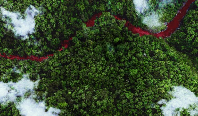 green-blood_about_1